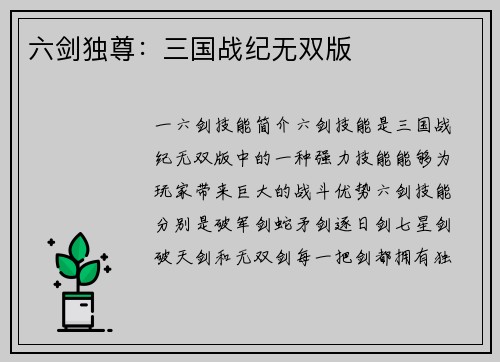 六剑独尊：三国战纪无双版