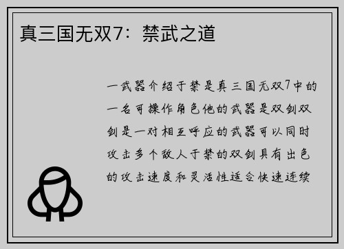 真三国无双7：禁武之道